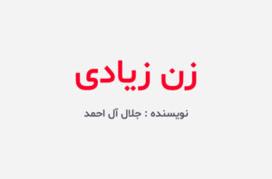 دانلود کتاب زن زیادی
