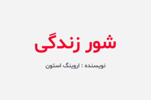 دانلود کتاب شور زندگی