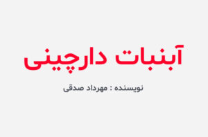 دانلود کتاب آبنبات دارچینی